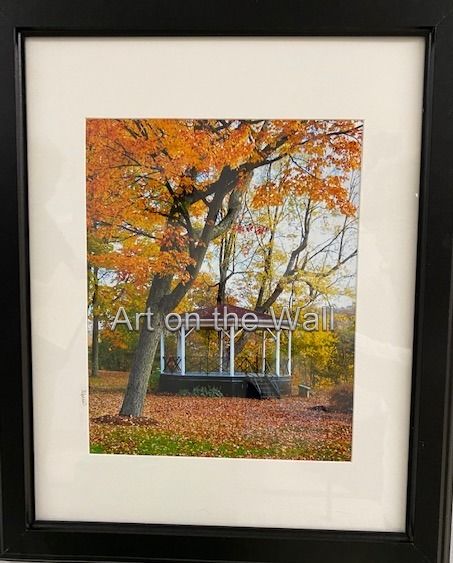 w   Carmichael Park in the Fall   Sarah Norris  Photo   100.00