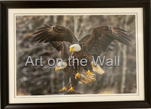 w   Eagle 2   Gerry Farrell  Fine Art Photography   550.00