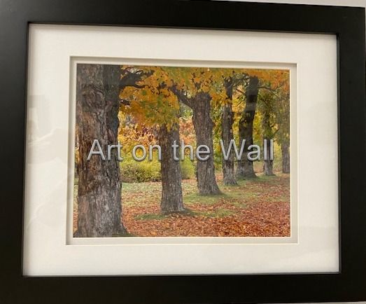 w   Painted Trees   Darlene Forbes  Photo   100.00