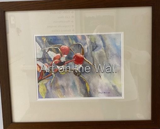 w   Rose Hips   Gordon MacDonald  Watercolour   325.00