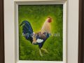 w   Wild Kauau Rooster   Bev Scott  Oil   125.00